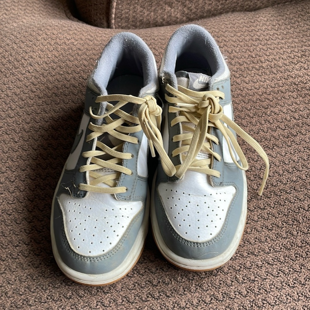 Nike dunks low